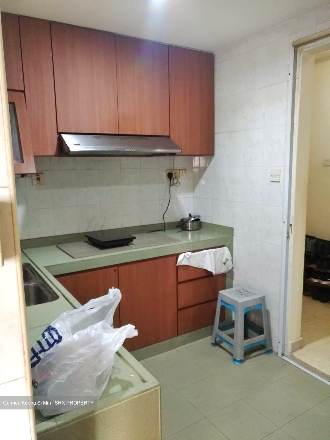 Camellia Lodge (D14), Apartment #552822091